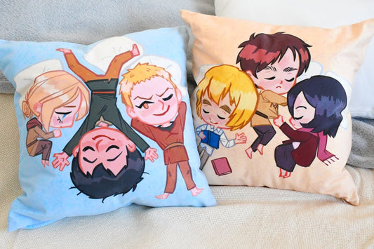 RBA and EMA pillow case